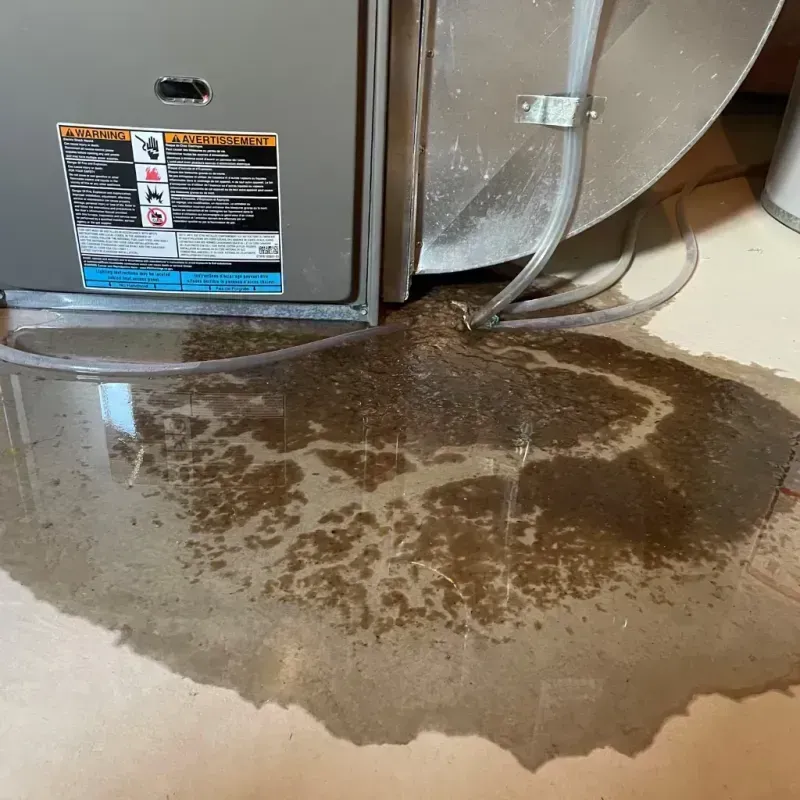 Appliance Leak Cleanup in Ponce, PR